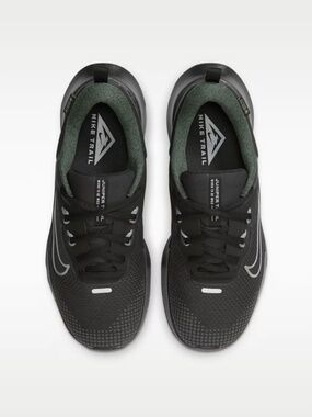 Nike Juniper Trail Gore-Tex Shoes
